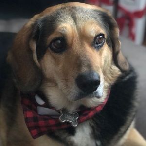 Meet your Posher, Erica